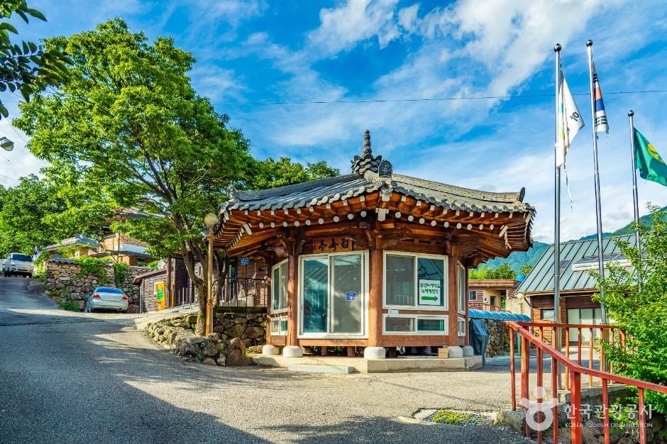 하동_삼신녹차마을 (2)
