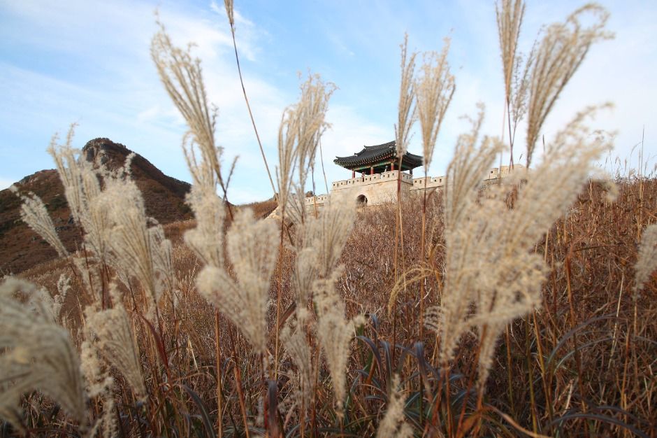 황매산(산청)
