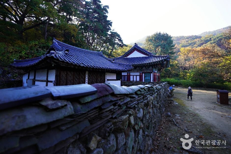 갑사