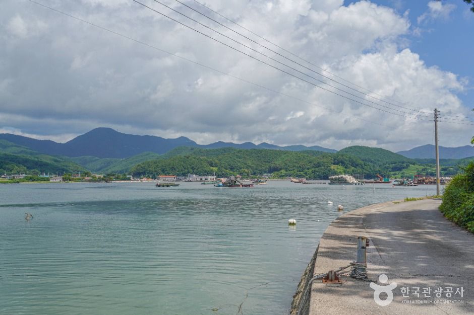 송천참다래마을