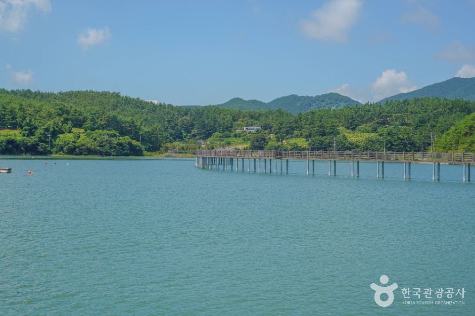 thumbnail-동화어촌체험마을-1