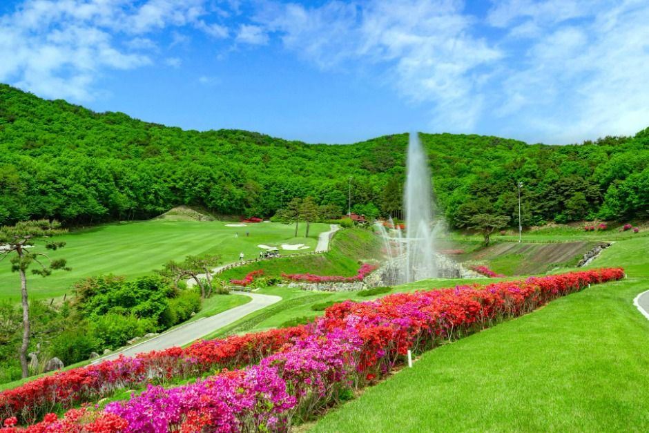 여주_여주컨트리클럽 (1)