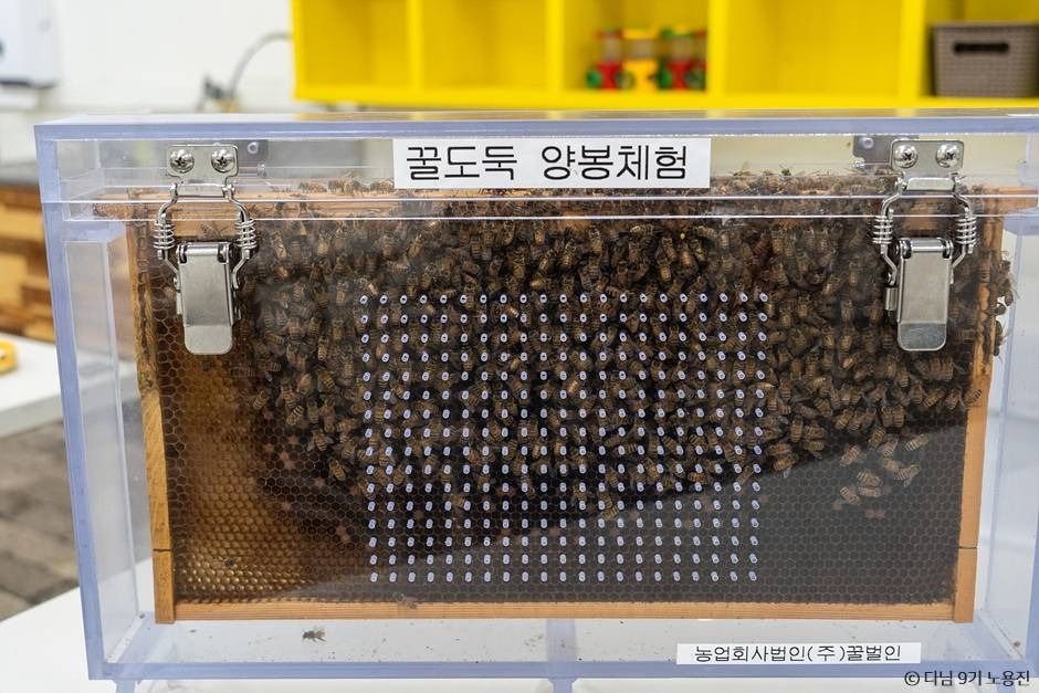 농업회사법인주식회사꿀벌인