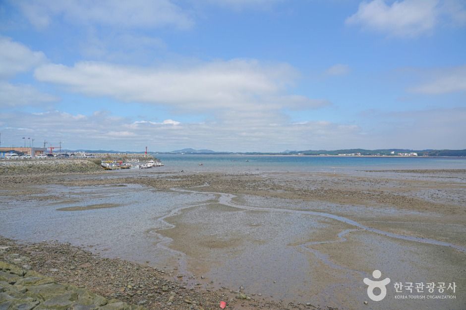 태안_마검포항 (1)