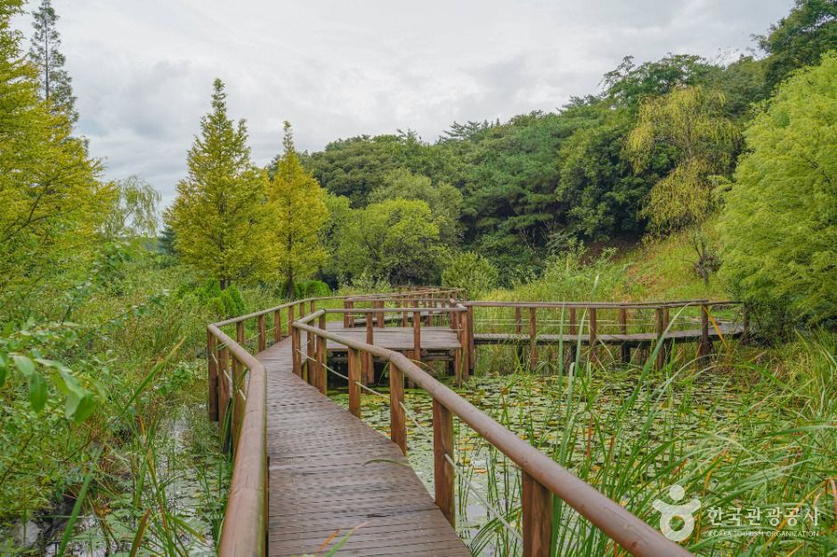 thumbnail-완도수목원-15