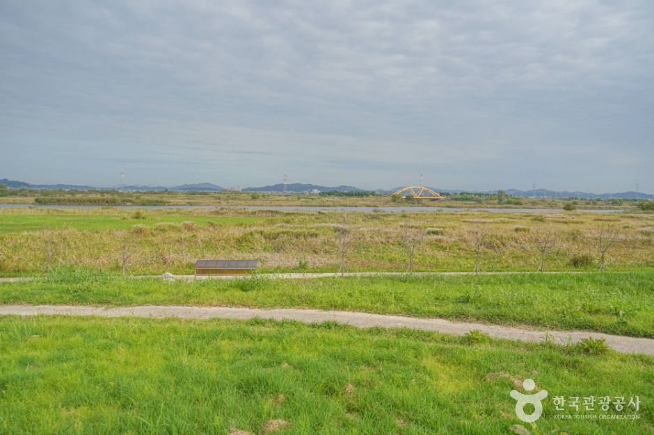 김제_새만금 광역탐방로 (3)