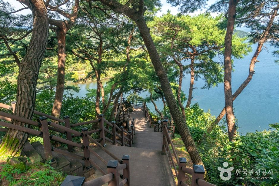 충주_충주 탄금대와 탄금대공원 (4)