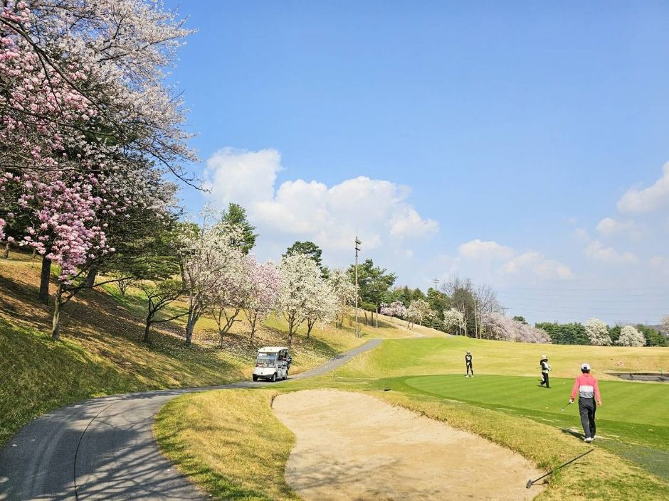 화성_라비돌컨트리클럽 (4)