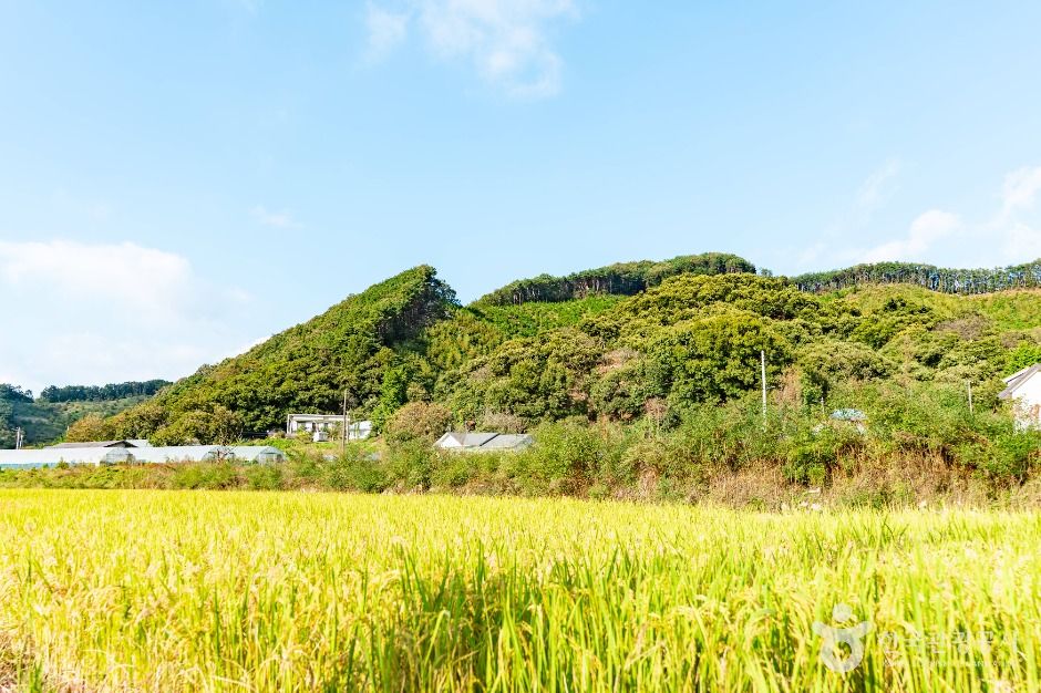 thumbnail-천안 두아람마을 [농촌전통테마]-5