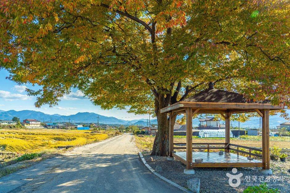 thumbnail-방광마을-2