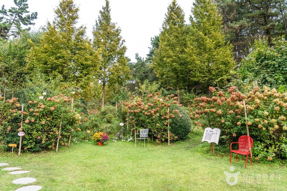 담양_죽화경 (5)