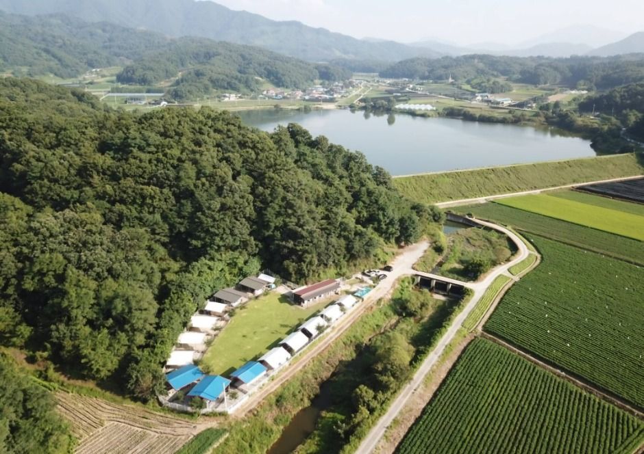 괴산_루파니애견캠핑장 (7)