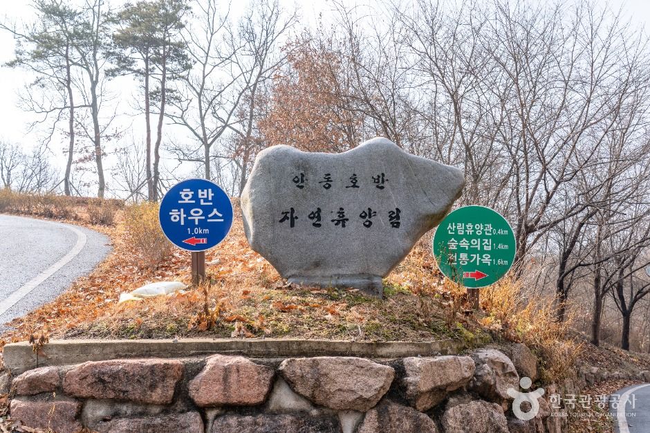 안동호반자연휴양림