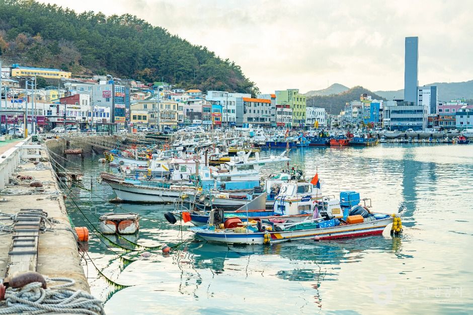 thumbnail-완도항-11