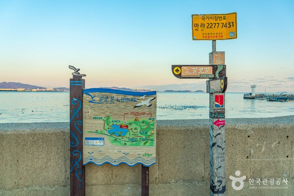 [부산 갈맷길] 5코스