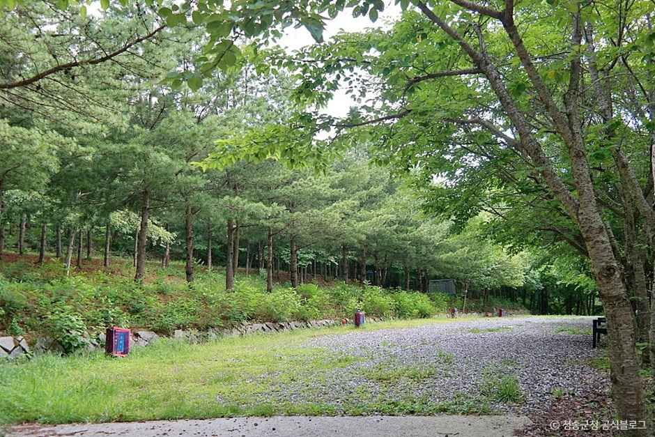 thumbnail-청송오토캠핑장-6