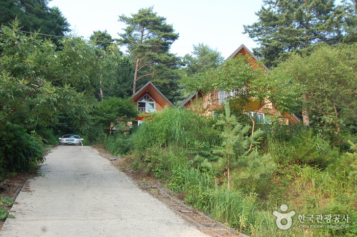 thumbnail-Jucheongang Recreational Forest (주천강자연휴양림)-0