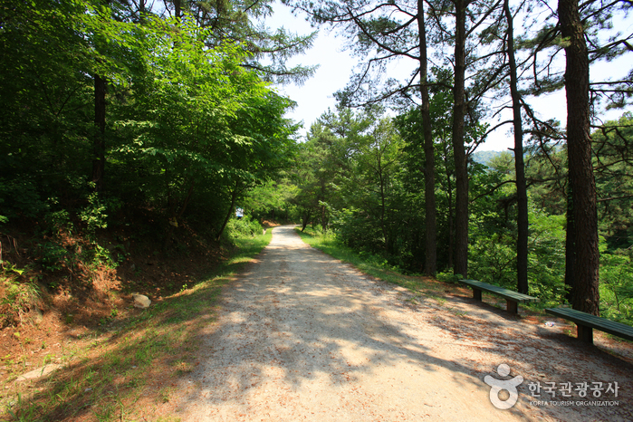 장동산림욕장5