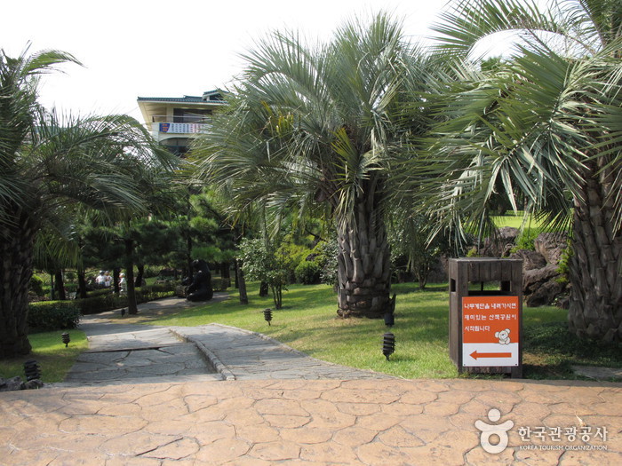 Teddy Bear Museum (제주 테디베어뮤지엄)