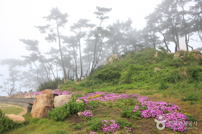 Daewangam Park (대왕암공원)