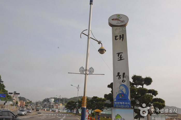 Daepohang Port (대포항)