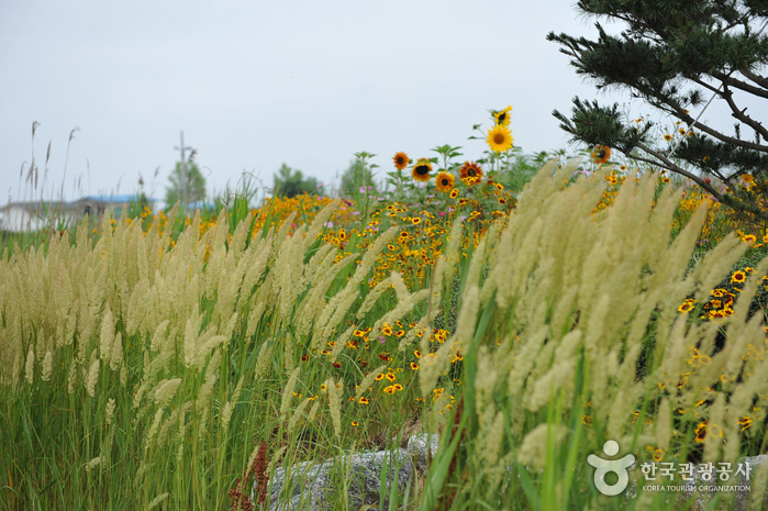 Julpo Ecological Park (줄포자연생태공원)
