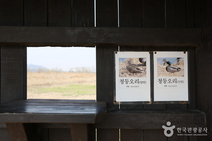 江西湿地生態公園（강서습지생태공원）