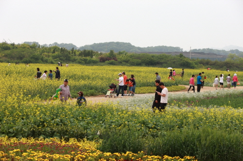 Dream Park (수도권매립지 야생화단지 드림파크)