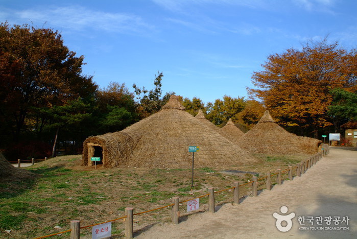 Archaeological Site in Amsa-dong, Seoul (서울 암사동 유적)