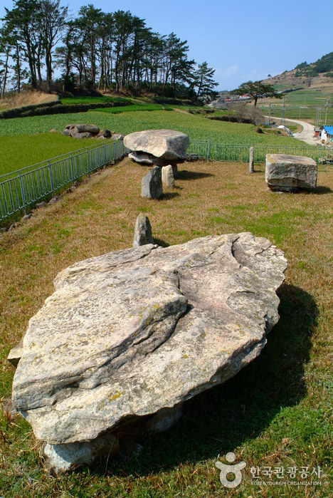 읍리지석묘와 하마비0