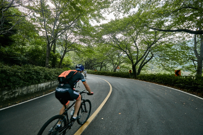 Anmingogae Hill (안민고개)