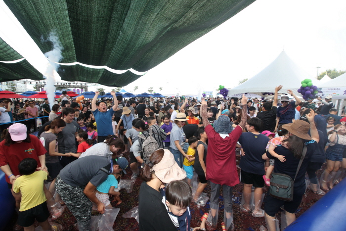 화성송산포도축제 2019(6)