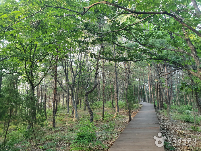 오대산 자연명상마을8