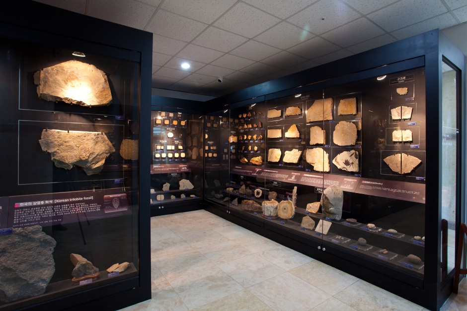 안면도쥬라기박물관3