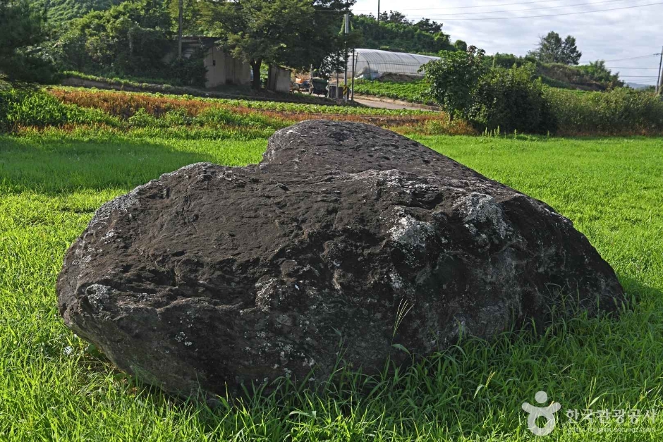 충주 신청리 지석묘