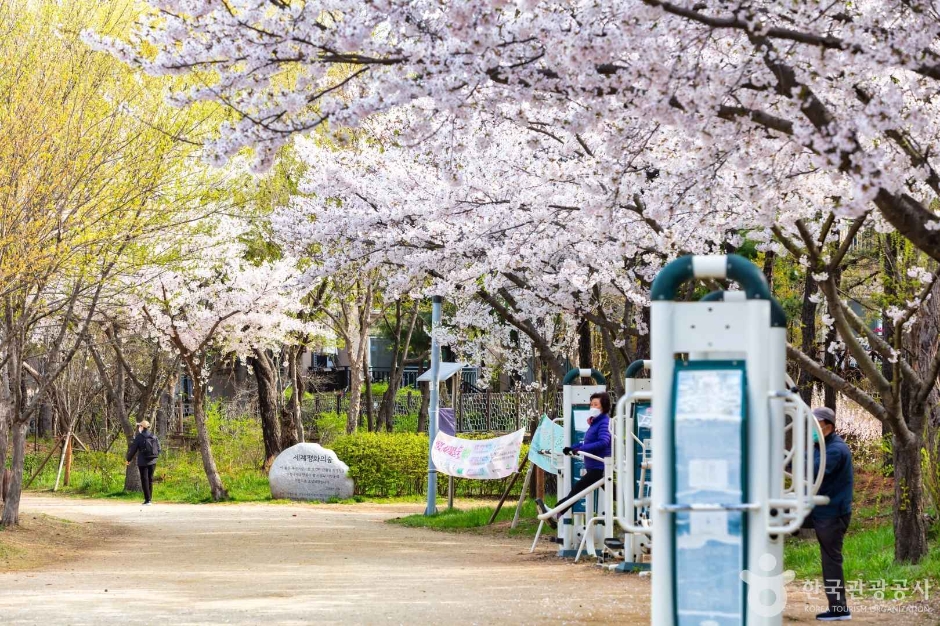 세계평화의숲