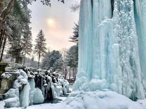 남이섬 (1)