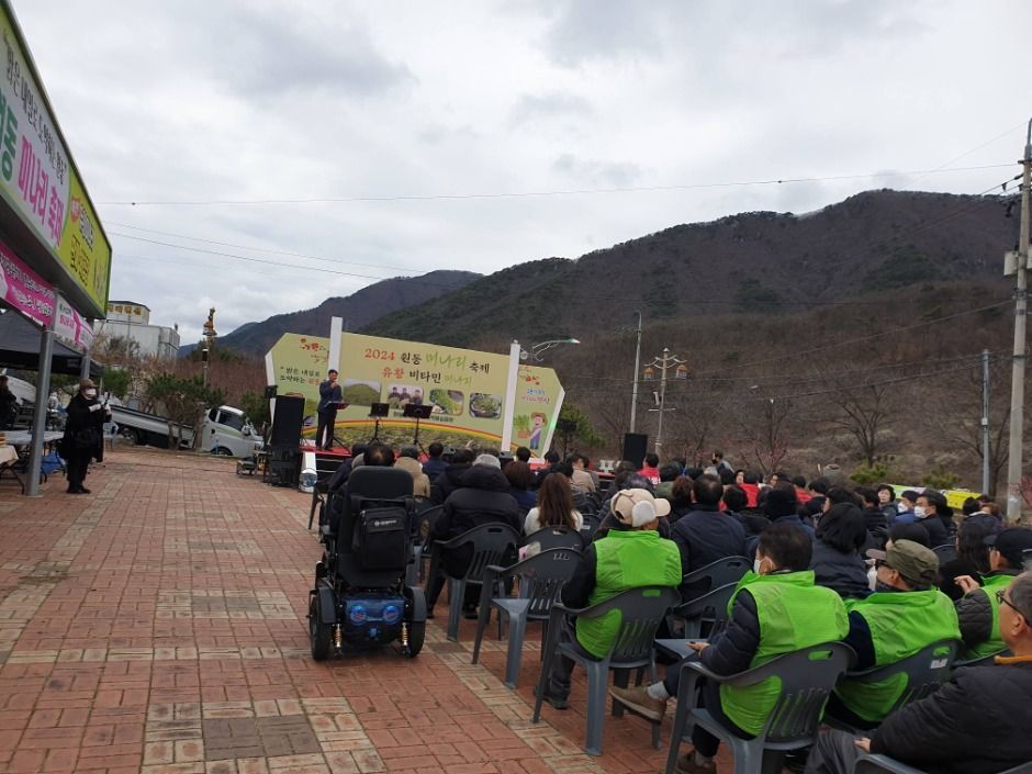 院東面セリ祭り（원동면 미나리 축제）