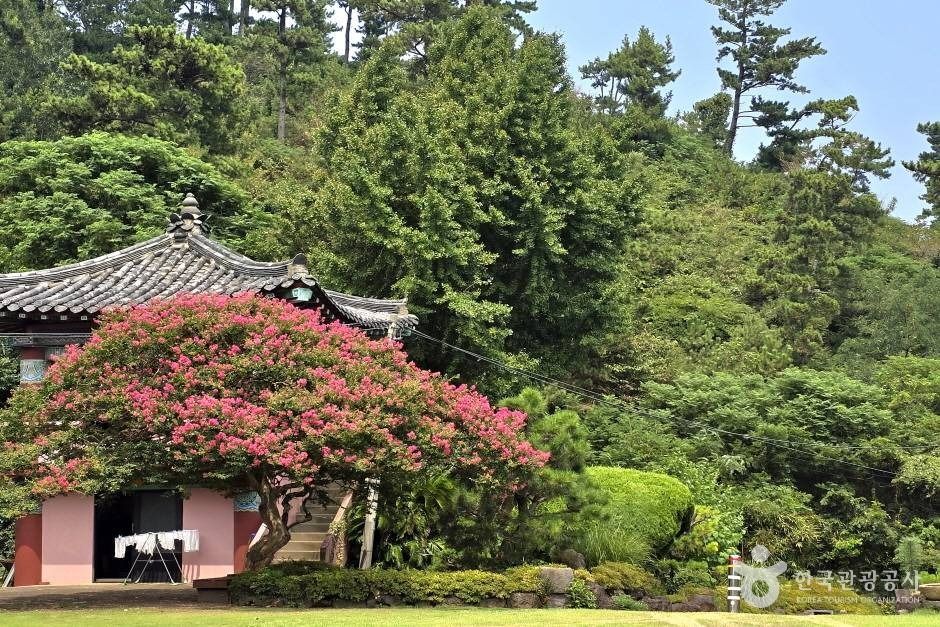 월영사(제주)