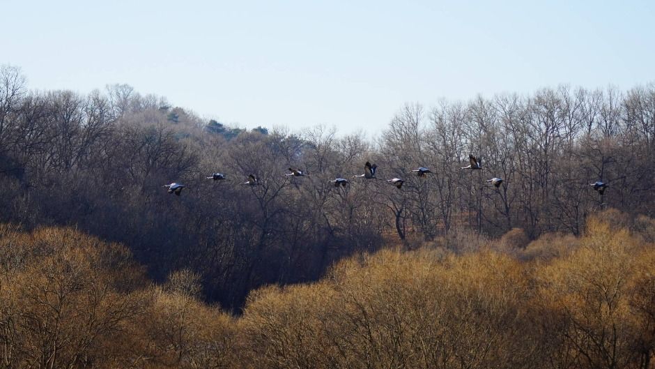 파주_파주 DMZ 생태연구소 (13)