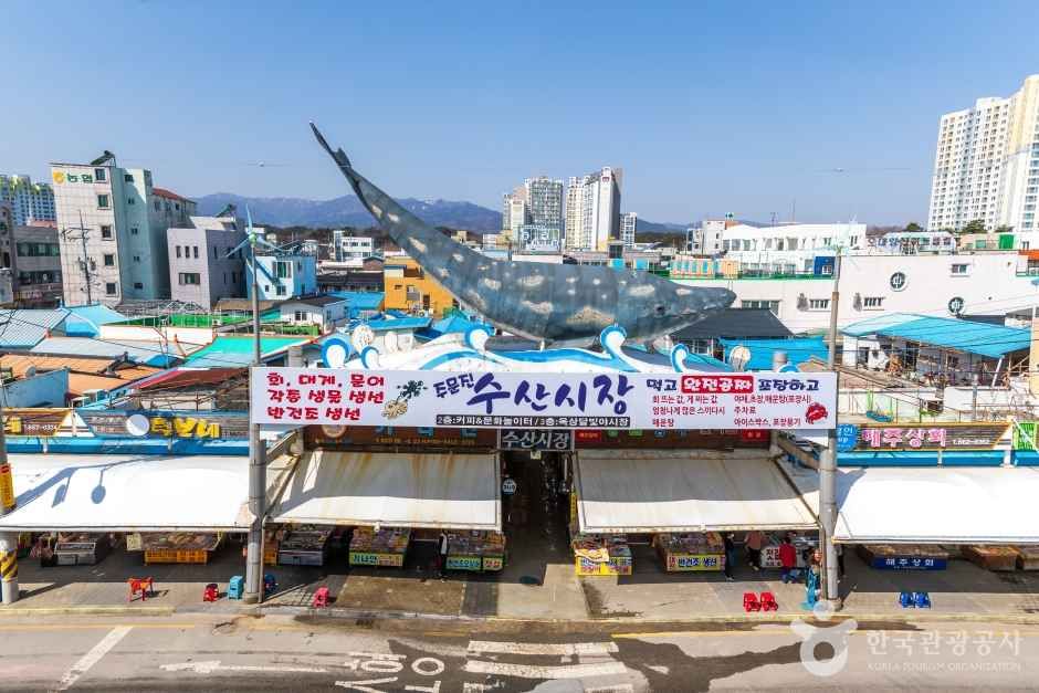 강릉_주문진수산시장