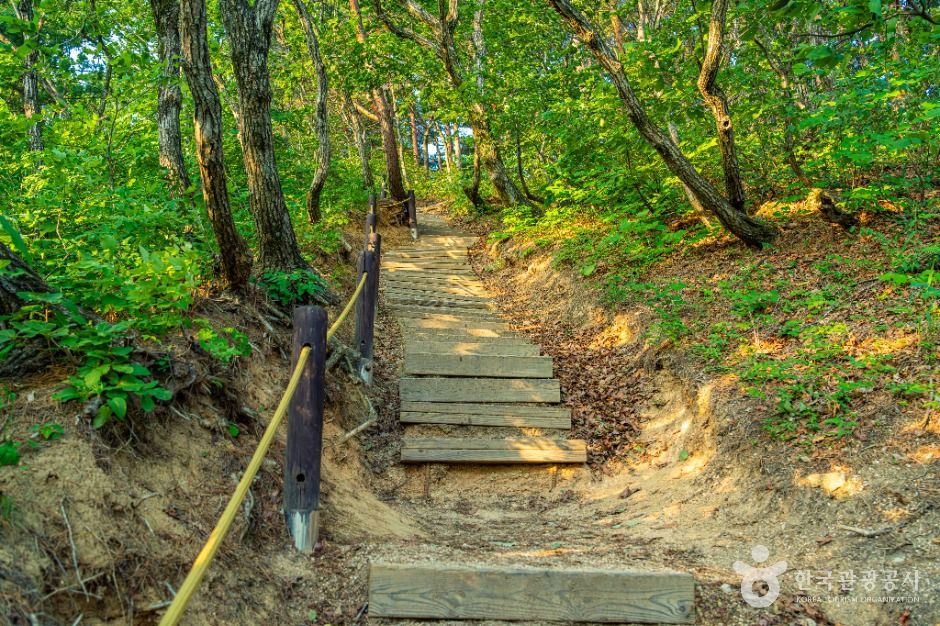 고성 금강산