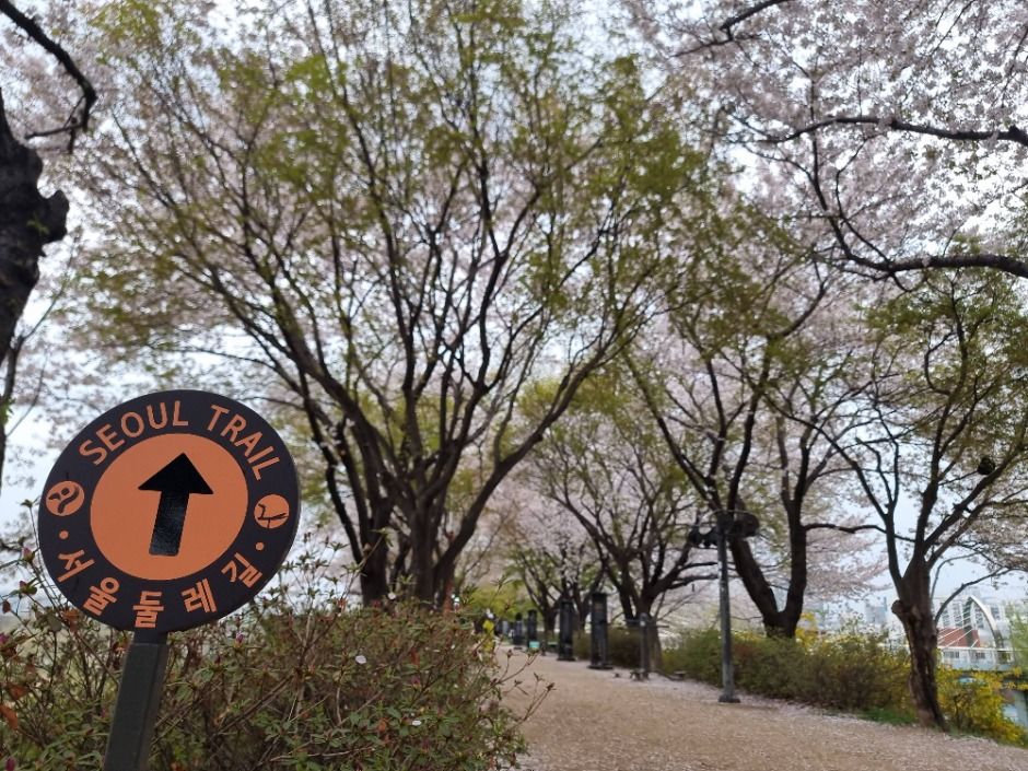 [서울둘레길 13코스] 안양천 상류코스