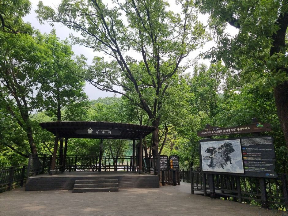 [서울둘레길 16코스] 봉산·앵봉산코스