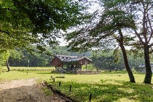 고양_고양 서오릉[유네스코 세계유산] (3)
