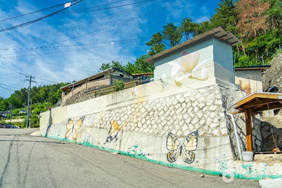안동_신세동 벽화마을 (2)