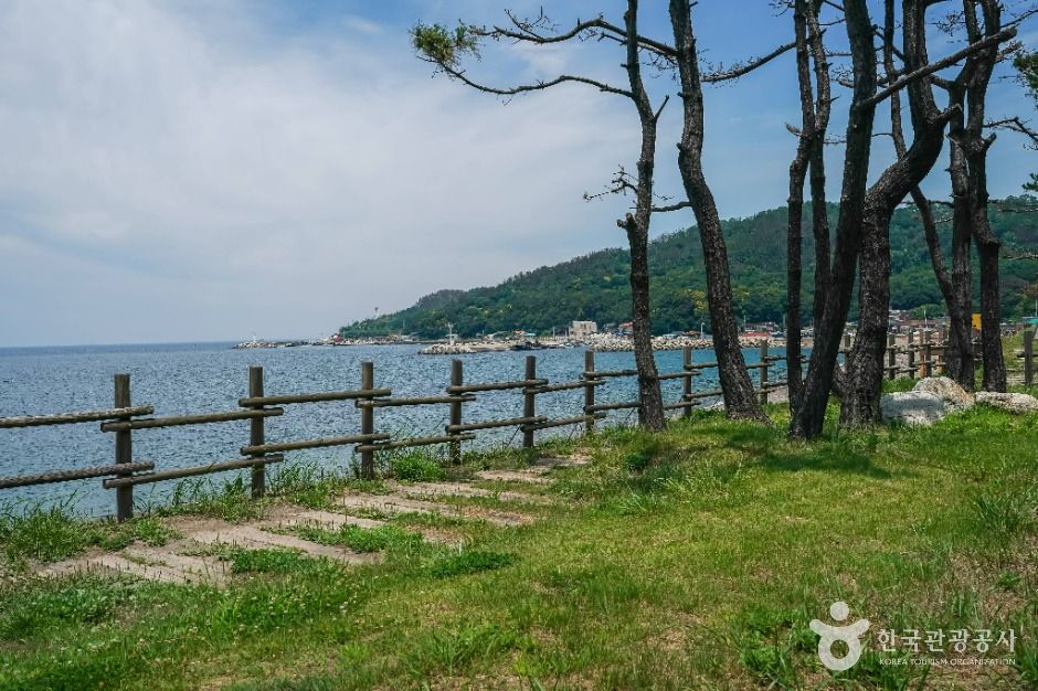 포항_흥환간이해수욕장 (3)