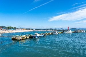 서산_벌말선착장 (5)