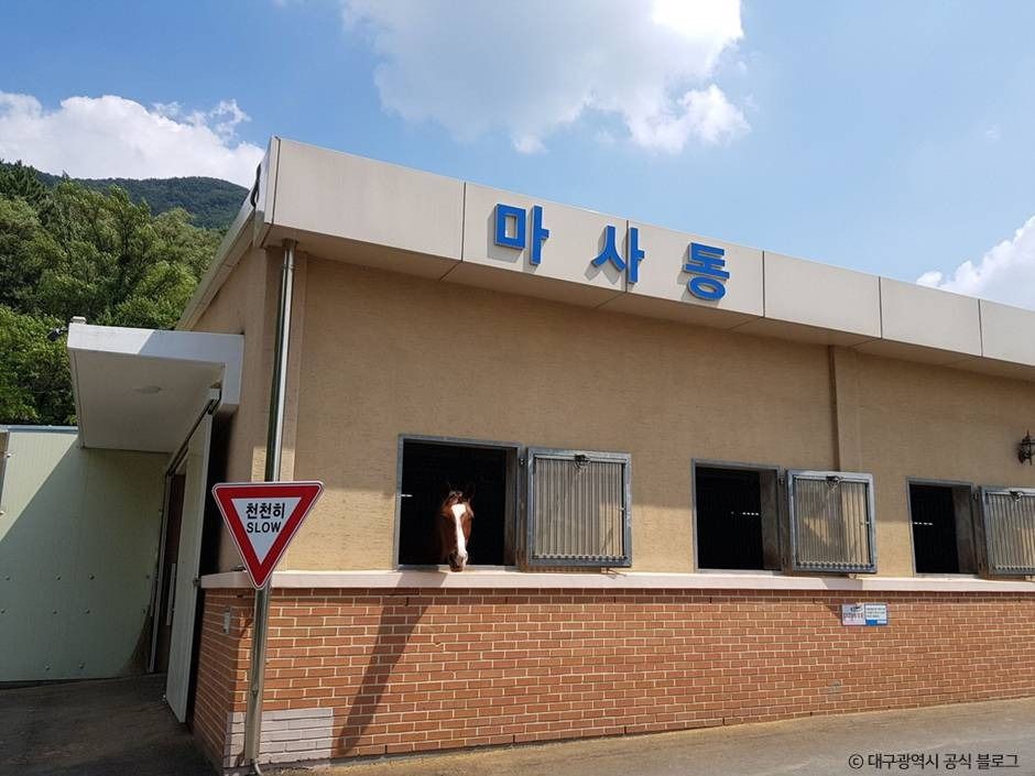 대덕승마장