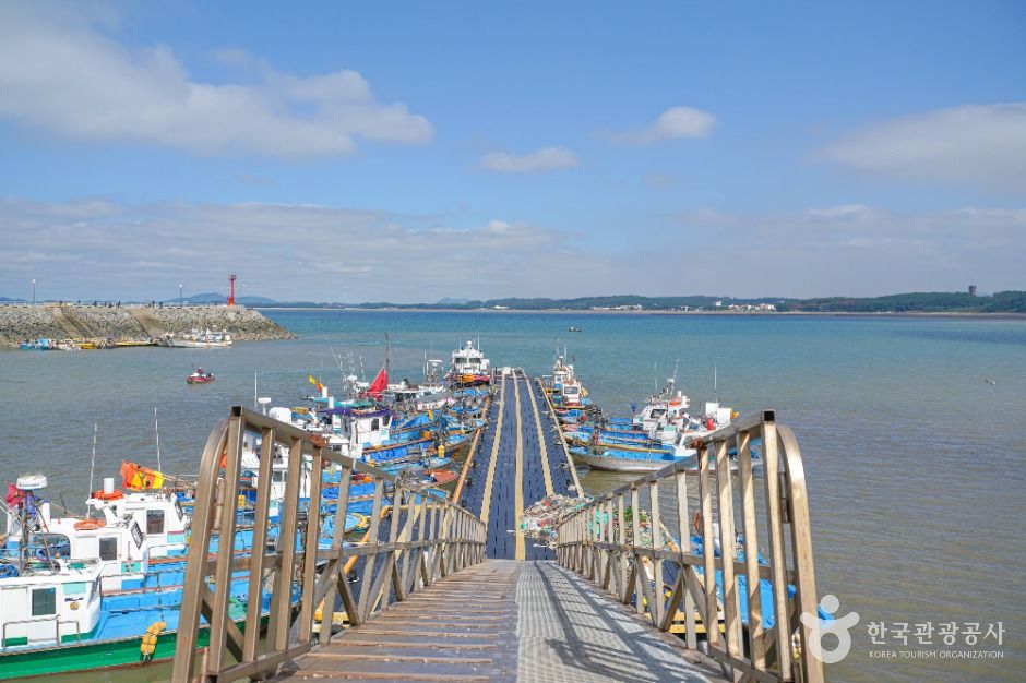 태안_마검포항 (2)